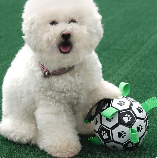Interactive Soccer Brain Game for Dogs - Nova Prices