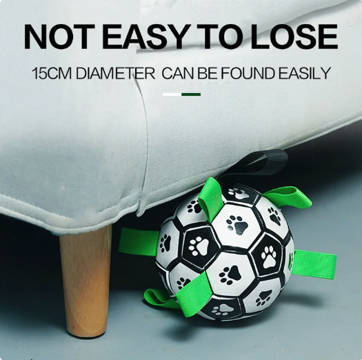 Interactive Soccer Brain Game for Dogs - Nova Prices
