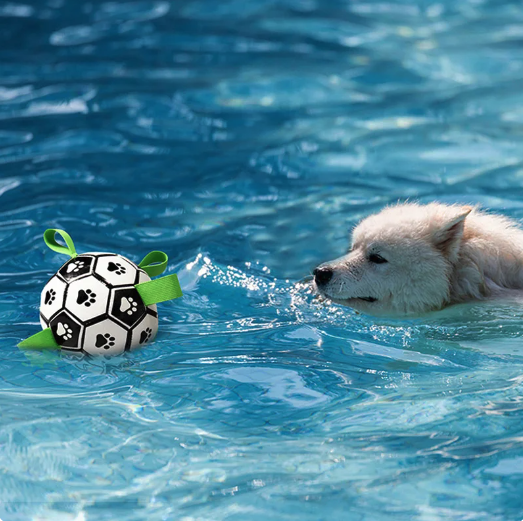 Interactive Soccer Brain Game for Dogs - Nova Prices