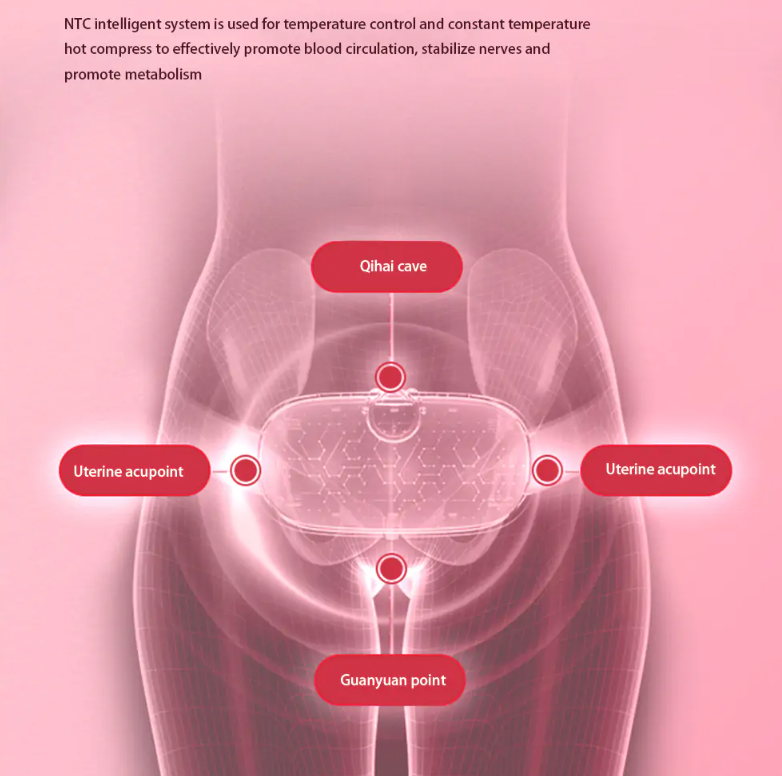 Abdominal Massage Belt - Nova Prices