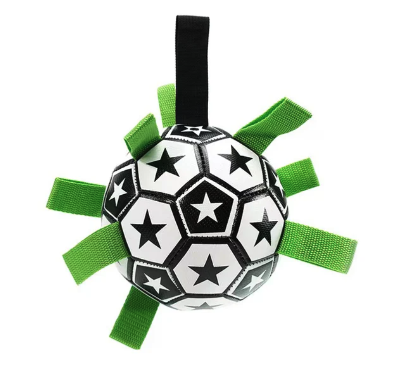 Interactive Soccer Brain Game for Dogs - Nova Prices